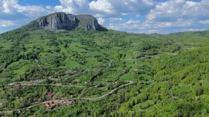 Vand teren cu livezi Buces-Vulcan - imagine 6