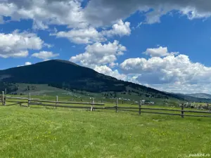 Teren 3.229 mp Dealu Floreni   200 m de drumul european, parcelă ideală pentru construit - imagine 6