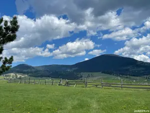 Teren 3.229 mp Dealu Floreni   200 m de drumul european, parcelă ideală pentru construit - imagine 3