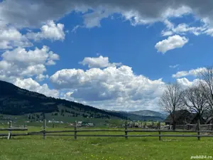 Teren 3.229 mp Dealu Floreni   200 m de drumul european, parcelă ideală pentru construit - imagine 4