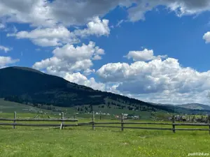 Teren 3.229 mp Dealu Floreni   200 m de drumul european, parcelă ideală pentru construit - imagine 2