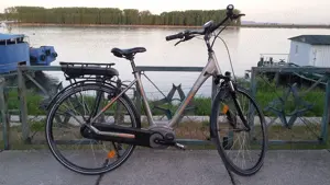 Bicicleta electrica Victoria - motor Bosch