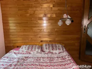 Casa de vacanta sau permanent  utilata 90mp - imagine 5