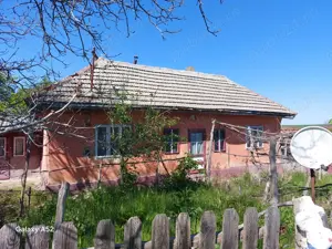 Vând casa la tara în loc liniști! - imagine 6