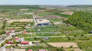 Teren  Intravilan plan in Mogosesti Iasi