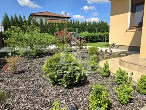 Casa pasiva individuala, deosebita, cu teren generos, Sag, comision 0% - imagine 5