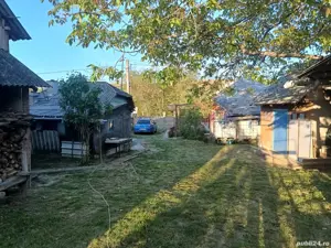 A   13. 20000 mp teren și 3 constructii casa in judetul Bacău  - imagine 3