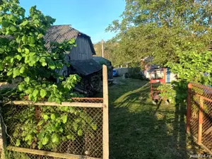 A   13. 20000 mp teren și 3 constructii casa in judetul Bacău  - imagine 16