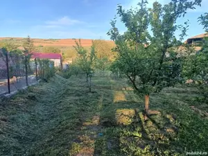 A   13. 20000 mp teren și 3 constructii casa in judetul Bacău  - imagine 18