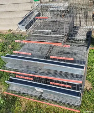 Vând 3 cuști pentru prepelițe