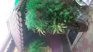 Casa de vânzare,3 camere, baie, bucătărie. 