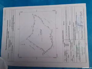 vand sau schimb padure