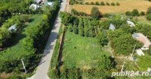 Teren intravilan de vanzare Comuna Dor Marunt - imagine 3