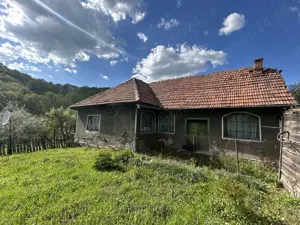 Casa și teren de vânzare 