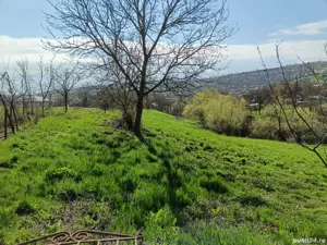 Casa de vanzare in sat Padureni, com. Tritenii de Jos - imagine 3