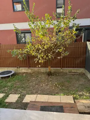 Vânzare Apartament cu 3 Camere, 110mp si curte privata   Dumbrăvița, Timișoara - imagine 12