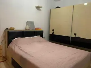 Vânzare Apartament cu 3 Camere, 110mp si curte privata   Dumbrăvița, Timișoara - imagine 4