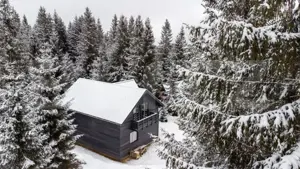 Cabană modernă în Mărișel, 4 dormitoare, teren de 1000mp - imagine 14