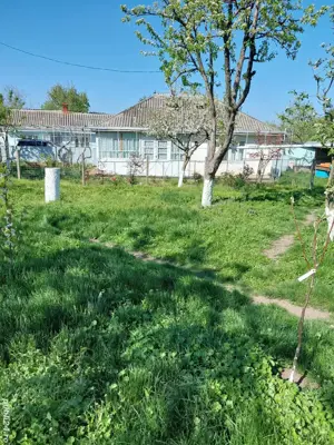 Vând casă sat Dorobanti  - imagine 8