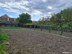 Casa individuala,  comuna Garbova jud Alba - imagine 9