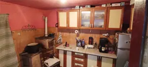 MOLDOVA NOUA, Casa 3 camere, Suprafata totala teren: 274 mp - imagine 16