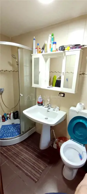 MOLDOVA NOUA, Casa 3 camere, Suprafata totala teren: 274 mp - imagine 5