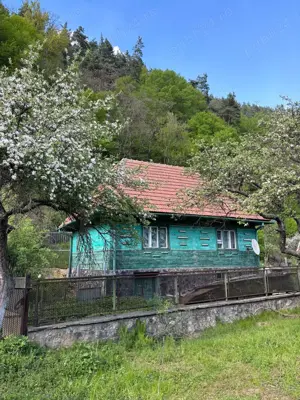 Casa traditionala momarlaneasca de lemn si teren intravilan, Petrosani, Valea Jiu  la 3 km de centru - imagine 8