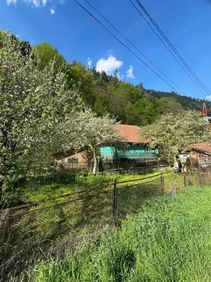 Casa traditionala momarlaneasca de lemn si teren intravilan, Petrosani, Valea Jiu  la 3 km de centru - imagine 9