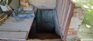 Casa de vanzare, comuna Cujmir, Mehedinți,  beci, fantana, gradina, 686 mp total - imagine 3