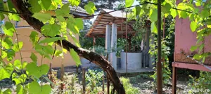 Casa de vanzare, comuna Cujmir, Mehedinți,  beci, fantana, gradina, 686 mp total - imagine 5