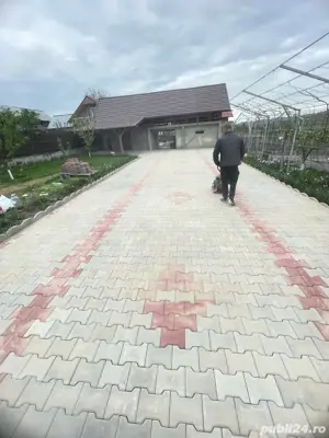 Prestari servicii Bacau