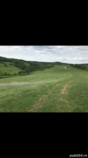 De vanzare 23ha agricol extravilan - imagine 5 De vanzare 23ha agricol extravilan - imagine 5