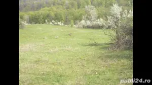 De vanzare 23ha agricol extravilan