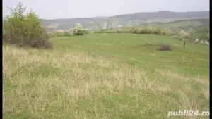 De vanzare 23ha agricol extravilan - imagine 4 De vanzare 23ha agricol extravilan - imagine 4