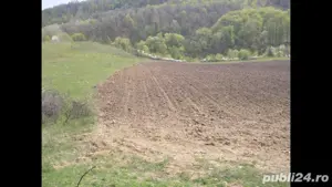 De vanzare 23ha agricol extravilan - imagine 3 De vanzare 23ha agricol extravilan - imagine 3