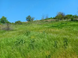 casa batraneasca cu teren intravilan  - imagine 5