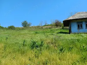 casa batraneasca cu teren intravilan  - imagine 2