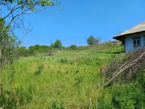 casa batraneasca cu teren intravilan  - imagine 9