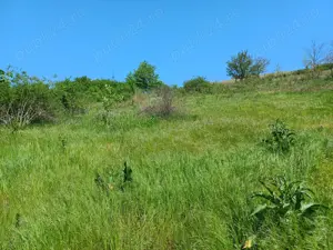 casa batraneasca cu teren intravilan  - imagine 6