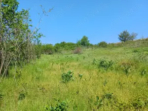 casa batraneasca cu teren intravilan  - imagine 10