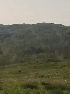  Teren  intravilan Jud Prahova - imagine 6