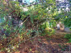 Teren intravilan 2090 mp in Slava Rusa   - imagine 4