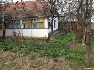 De vânzare casă Ortisoara  - imagine 6