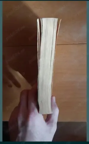 Donez romanul David Copperfield, de Charles Dickens - imagine 4