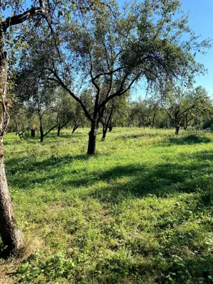 Teren intravilan de vanzare - imagine 6