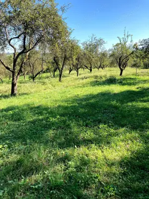 Teren intravilan de vanzare - imagine 5