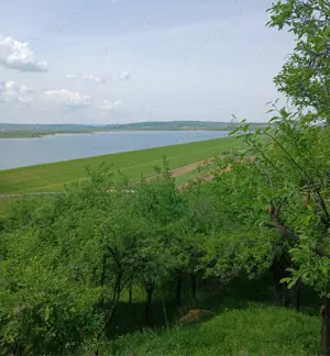 Livada pruni,loc cabana - imagine 2