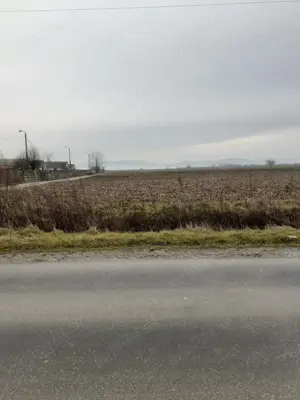 De vanzare teren intravilan in Halmeu (loc de casa) - imagine 2