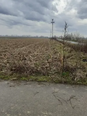 De vanzare teren intravilan in Halmeu (loc de casa) - imagine 3
