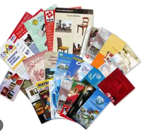 Distributie de pliante si flayere (panou publicitar)